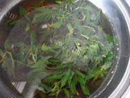 薄荷茶做法图解5)