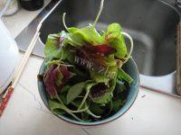 秀色可餐的蒜蓉苋菜做法图解1)