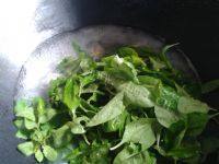 枸杞叶瘦肉汤自制