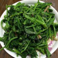 怀念的凉拌菠菜