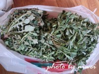 美味的苜蓿鸡蛋卷做法图解1)