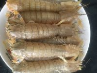 喷香的皮皮虾做法图解1)