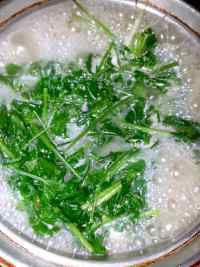 营养鲫鱼豆腐芫荽汤做法图解5)