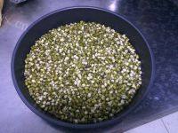 家常菜醋溜豆芽做法图解1)