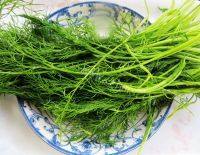自己做的茴香烧饼做法图解5)