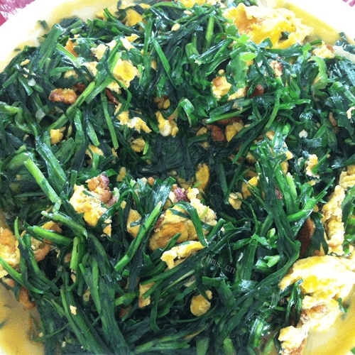 「DIY美食」韭菜炒鸡蛋