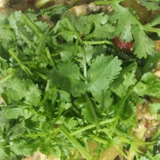 家常菜水煮鱼