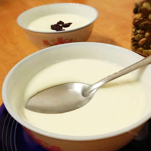 自制鲜香姜撞奶