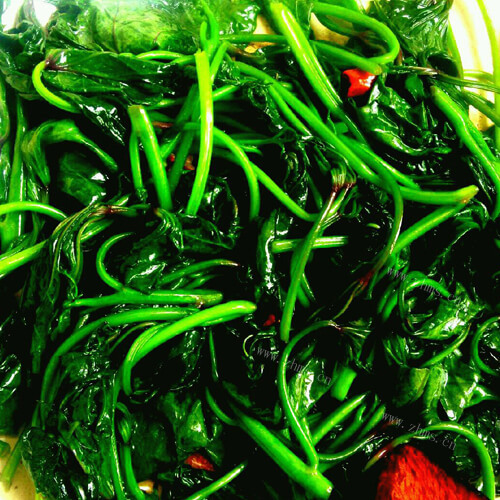 蔬蕾 青椒番茄炒红薯叶