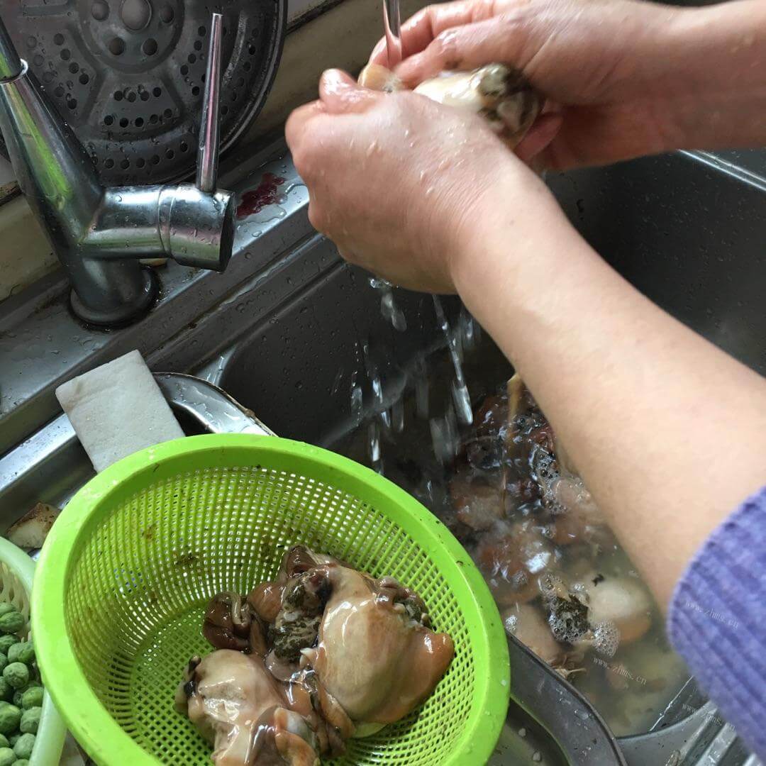 新鲜的清洗河蚌