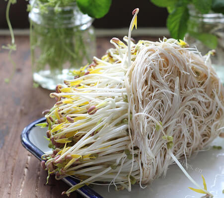 绿豆芽做法图解8)