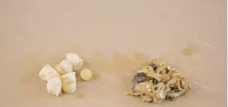 软糯扇贝冬瓜杂粮粥做法图解4)