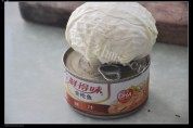 可口的金枪鱼沙拉做法图解1)