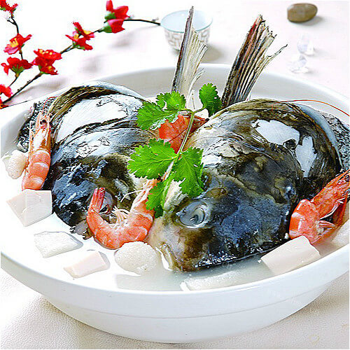 鸦片鱼头