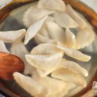 美味宝宝虾皮白菜水饺的做法图解八