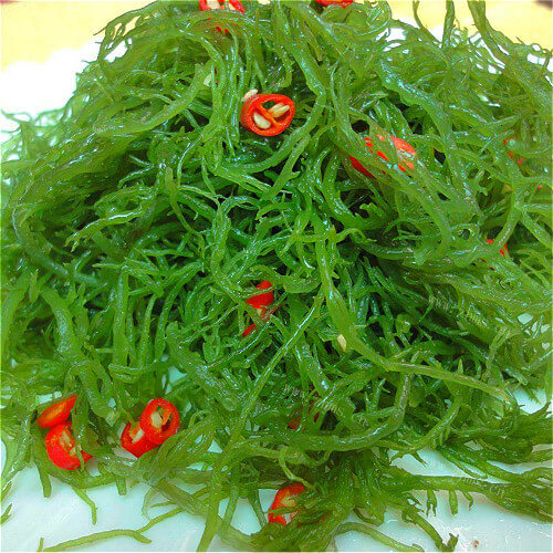 清爽龙须菜