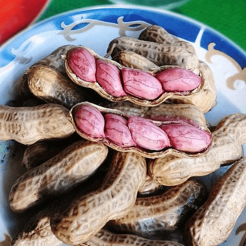 咸香的盐水四粒红