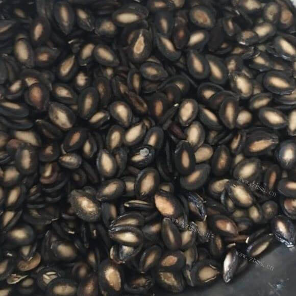 自制炒打瓜子
