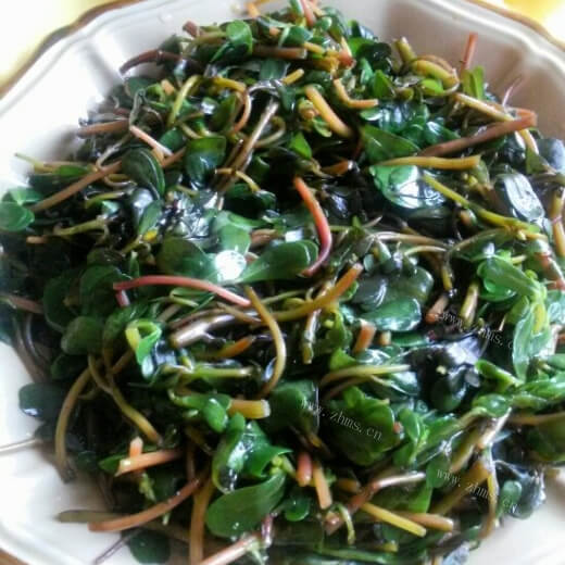 开胃糖醋马齿苋