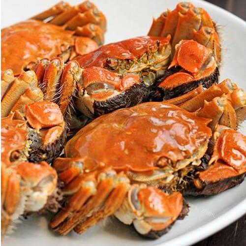 美味的清蒸大海蟹