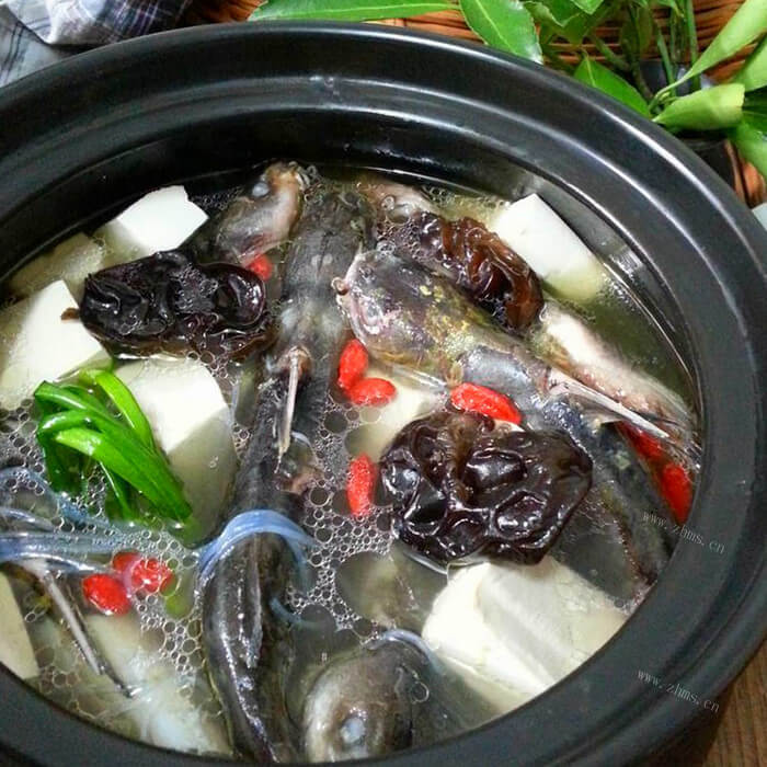 营养美味的巴鱼炖豆腐