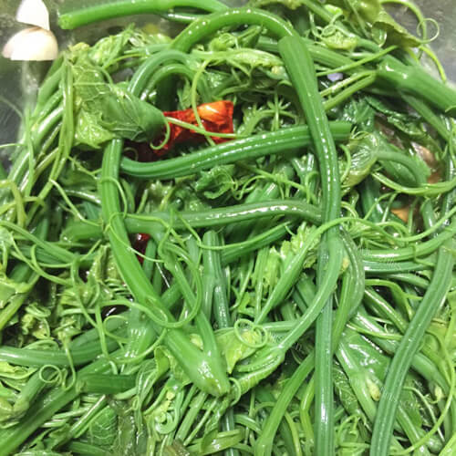 鲜嫩的龙须菜
