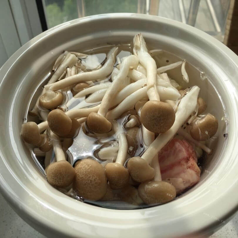 美味排骨平菇汤