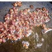 美味的云南椒麻鸡做法图解1)