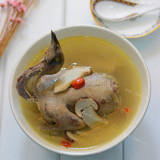 可口的松茸鸽子汤
