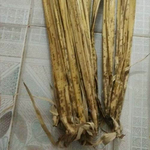 粽子的做法做法图解1)