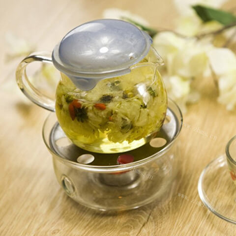 菊花枸杞茶