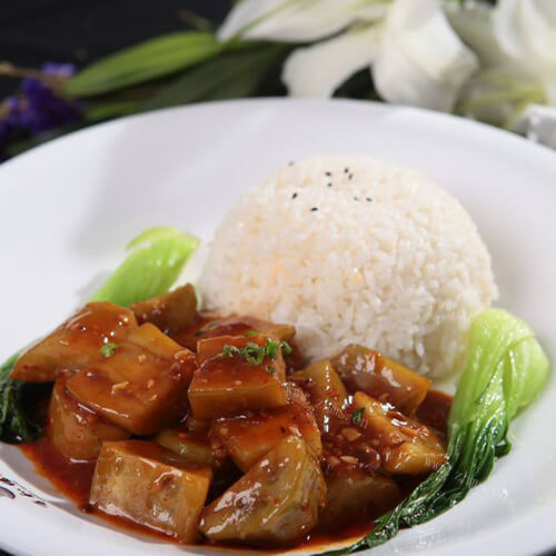 美味的茄子肉丝盖浇饭