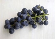 葡萄汁饮料做法图解1)