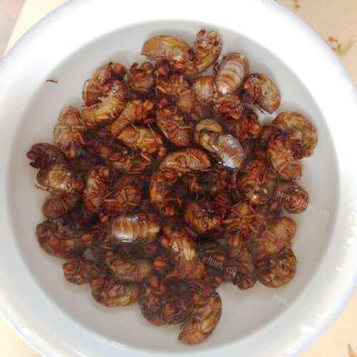 自制炸结了龟 