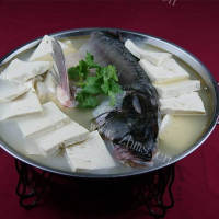 美味的食品澳斑鱼头炖豆腐