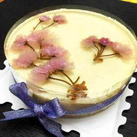 漂亮的樱花冻芝士蛋糕