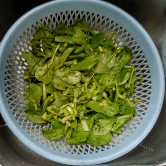 家常菜清炒鸡毛菜做法图解1)