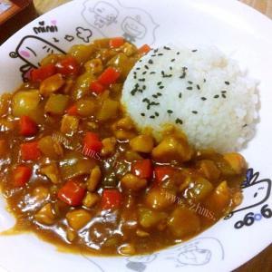 爱吃土豆鸡丁盖饭