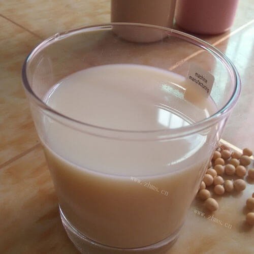 美味的桂圆黑豆豆浆