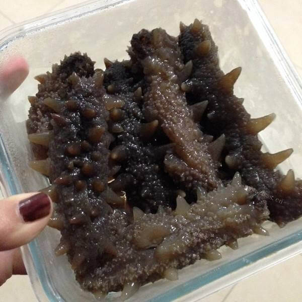 好吃的发制半干海参