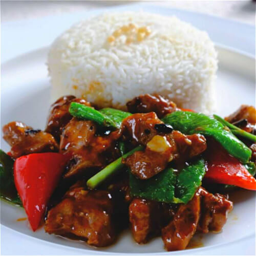 好吃的电压力锅焖排骨饭