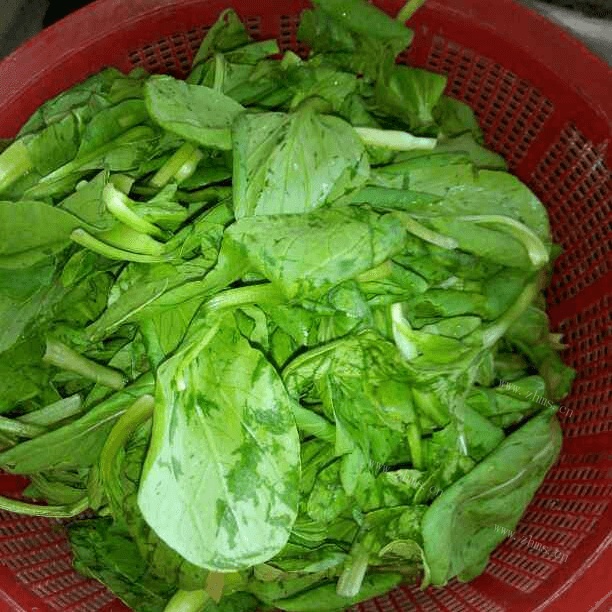 家常菜清炒鸡毛菜做法图解1)