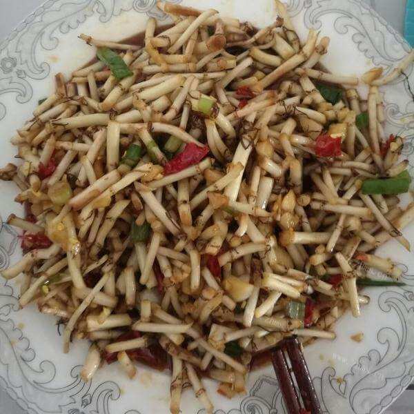 好吃的青蒜鱼腥草