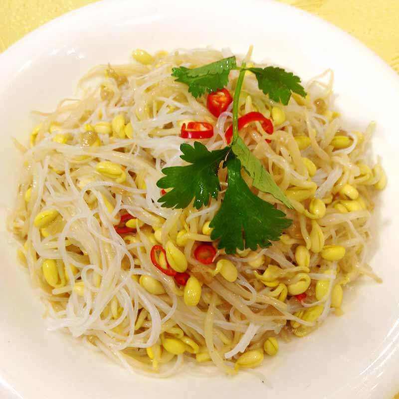 美味的豆芽炒千张