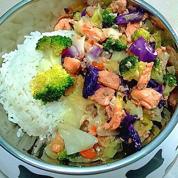 美味的狗狗菜谱