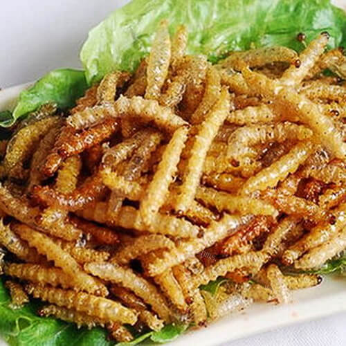 好吃的炒竹虫