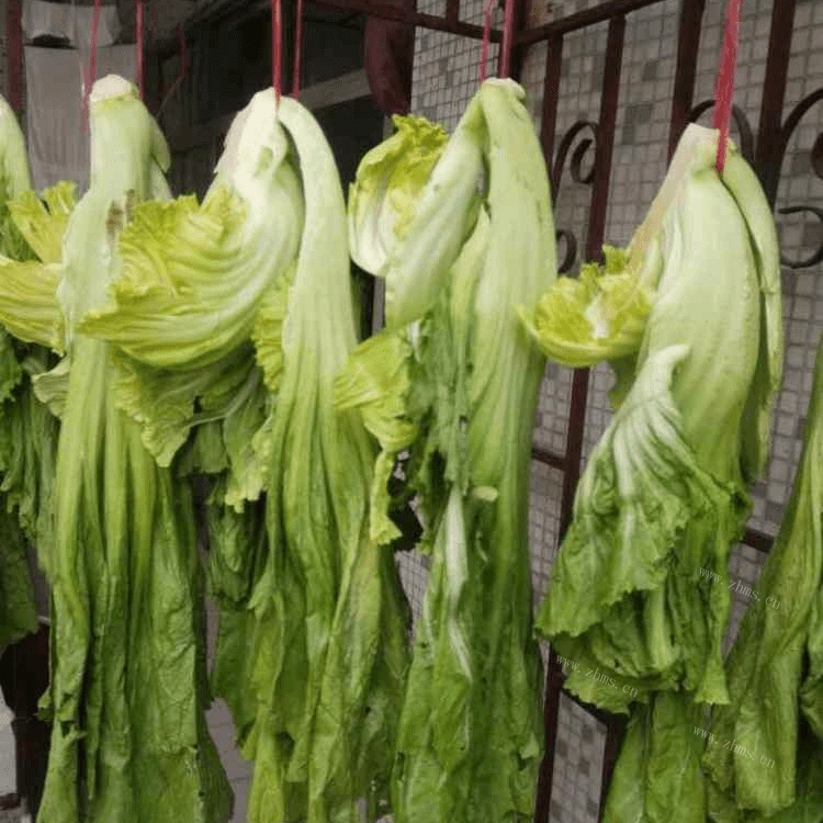 自制酸菜做法图解1)