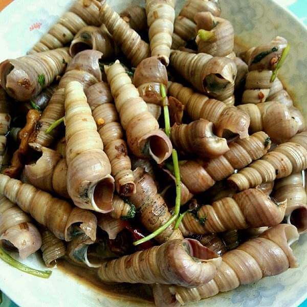 爽快的辣味丁螺