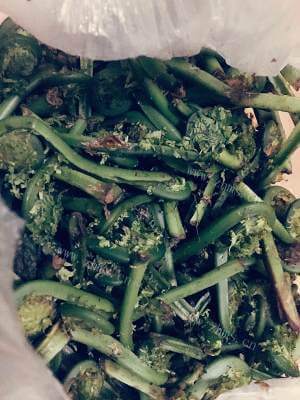 家常广东菜炒肉做法图解1)