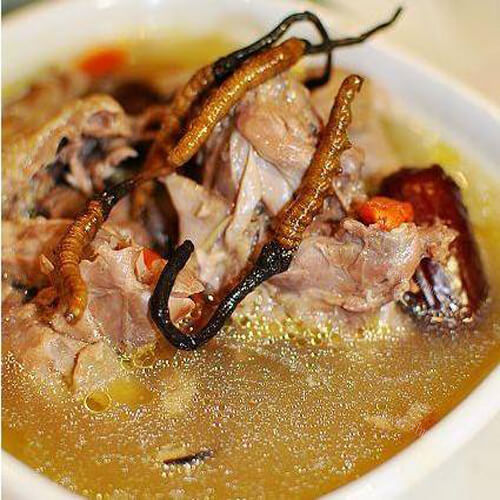 营养的冬虫夏草炖鸽子